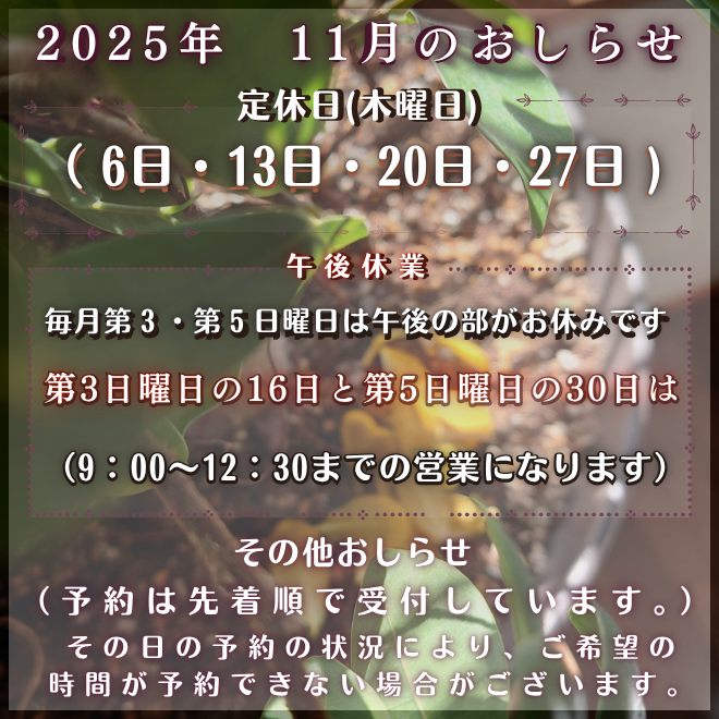 2025年（11月）のお休みとおしらせ