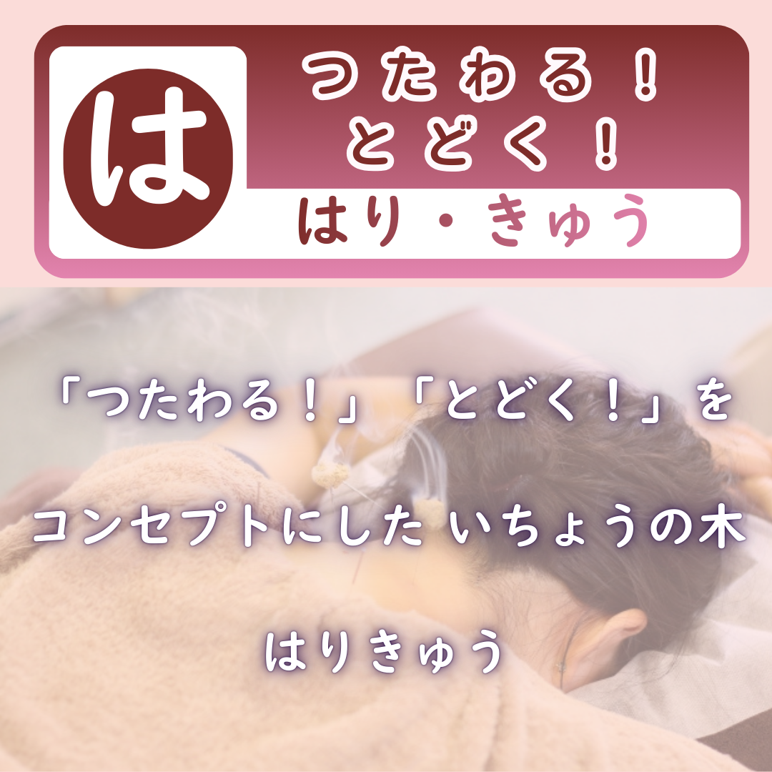 つたわる！とどく！いちょうの木のカイロプラクティックのはり・きゅう