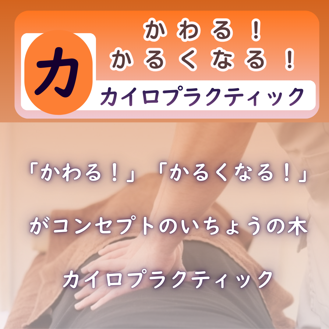 かわる！」かるくなる！いちょうの木のカイロプラクティック