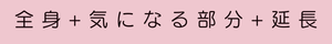全身じっくり（全身+気になる部分～延長）コース
