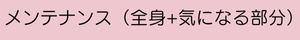 メンテナンス（全身+気になる部分）コース